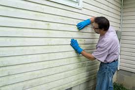 Best Insulated Siding Installation  in Kimball, NE